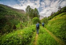 Photo of Эко-туризм: экологичные поездки