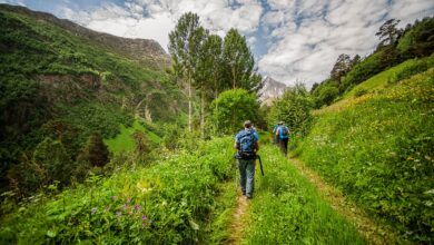 Photo of Эко-туризм: экологичные поездки