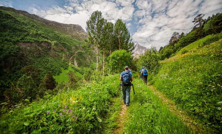 Photo of Эко-туризм: экологичные поездки