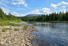 Photo of Приключения на природе