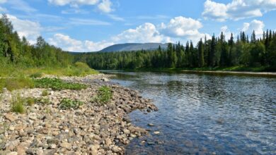 Photo of Приключения на природе