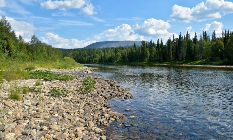 Photo of Приключения на природе