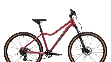 Photo of Уникальность и эстетика дизайнерских женских велосипедов