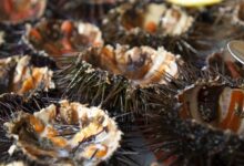 Photo of Гастрономический туризм