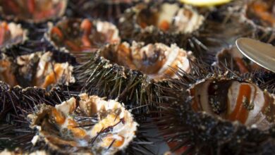 Photo of Гастрономический туризм