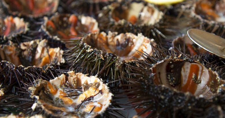 Photo of Гастрономический туризм