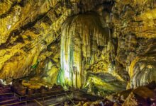 Photo of 3. Фауна и флора в пещере Новоафонского монастыря.