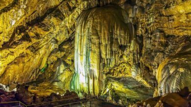 Photo of 3. Фауна и флора в пещере Новоафонского монастыря.